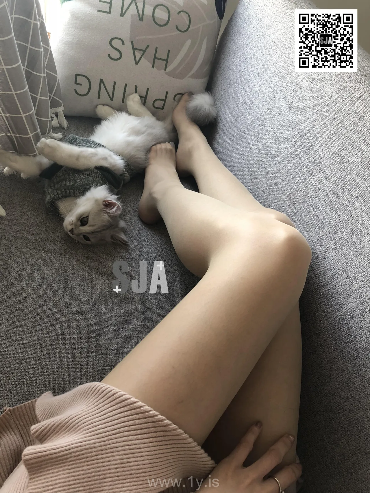 SJA佳爷 VOL.013 闺蜜视角《喵》